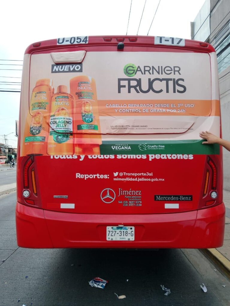 WhatsApp Image 2025-10-31 at 2.26.13 PM (5)